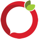 main logo icon